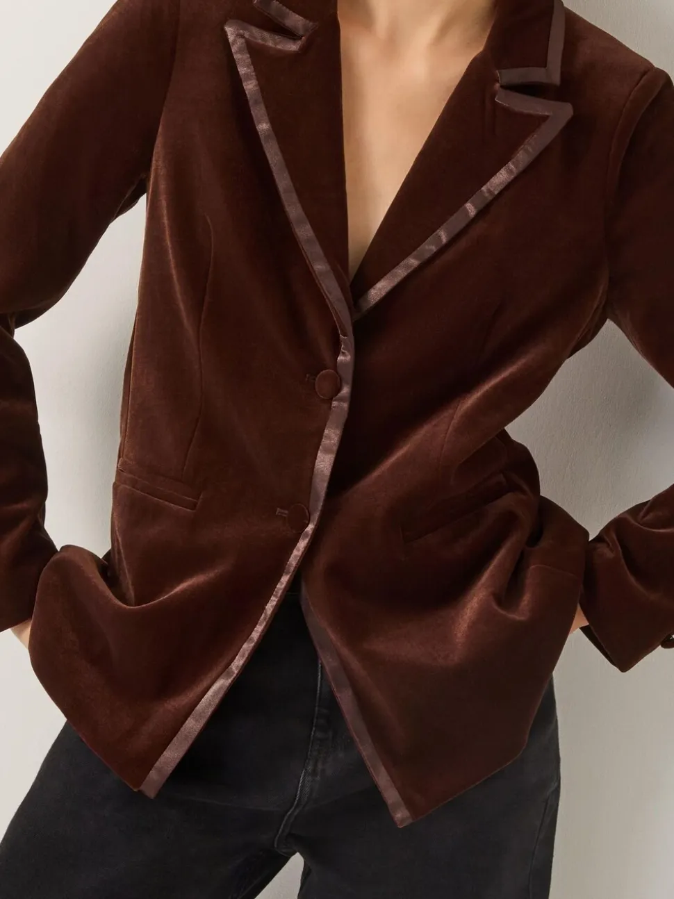 Bruin - Monsoon Mila Single Breasted Velvet Blazer