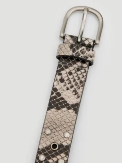 Dierenprint - Hush Leather Studded Eyelet Belt