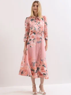 Phase Eight Anabella Dress