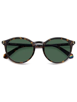 Polaroid Havanas Panthos Brown Sunglasses