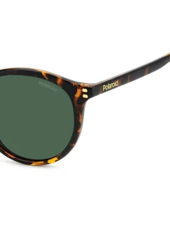 Polaroid Havanas Panthos Brown Sunglasses