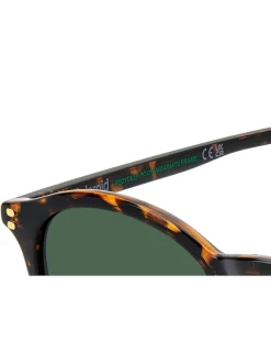 Polaroid Havanas Panthos Brown Sunglasses