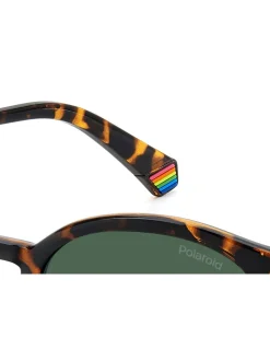 Polaroid Havanas Panthos Brown Sunglasses