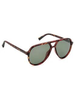 Prive Revaux Oversized Pilot Sunglasses in Havana