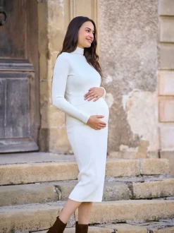 Seraphine Maternity Premium Rib Knit and Nursing Dress